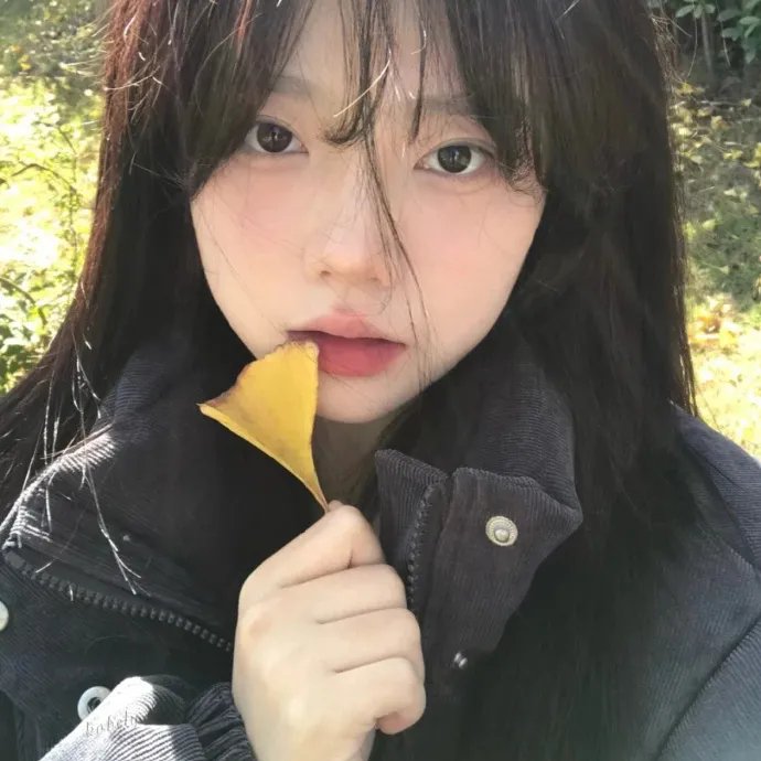 鸟儿们的奇幻冒险
